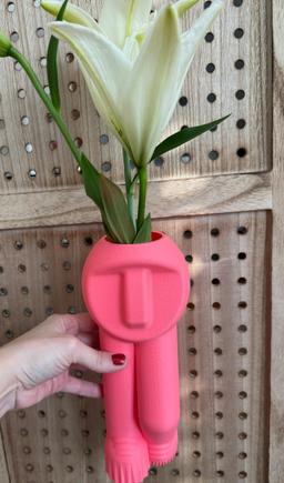 Modern Face Vase | 3D Printed Tall Slender Sculpture | Contemporary Home Decor | Unique Desk Accessory | Dopamine Decor 10