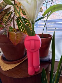 Modern Face Vase | 3D Printed Tall Slender Sculpture | Contemporary Home Decor | Unique Desk Accessory | Dopamine Decor 11