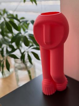 Modern Face Vase | 3D Printed Tall Slender Sculpture | Contemporary Home Decor | Unique Desk Accessory | Dopamine Decor 8