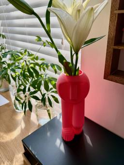 Modern Face Vase | 3D Printed Tall Slender Sculpture | Contemporary Home Decor | Unique Desk Accessory | Dopamine Decor 9