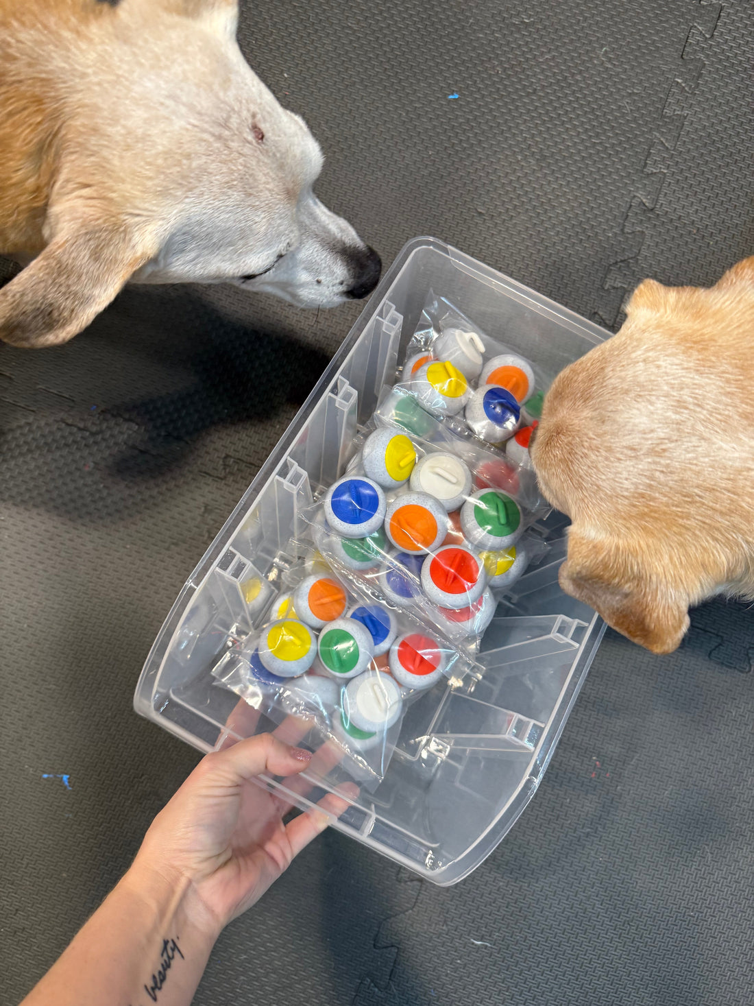 3d printed curling stone magnets and dogs