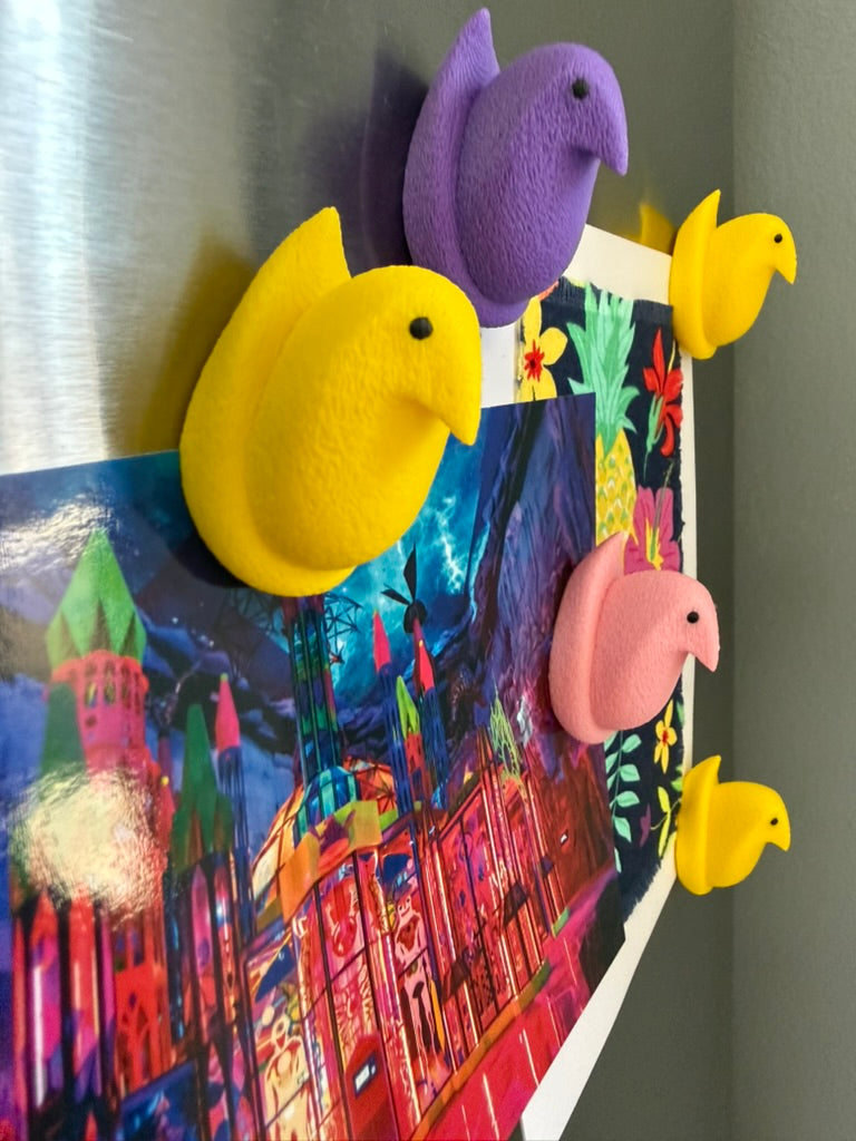 Colorful duck-shaped magnets on a refrigerator door