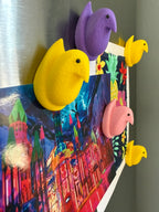 Colorful duck-shaped magnets on a refrigerator door