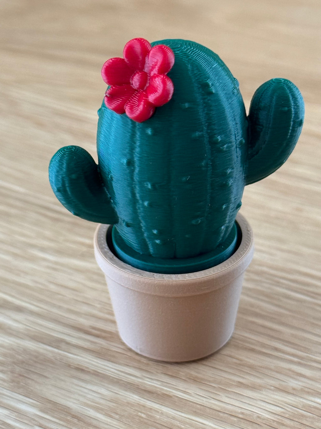 Cactus Fidget Clicker Toy, Desk Fidget Cactus in Pot, Satisfying Click Toy, Handmade USA Stress Relief Gift