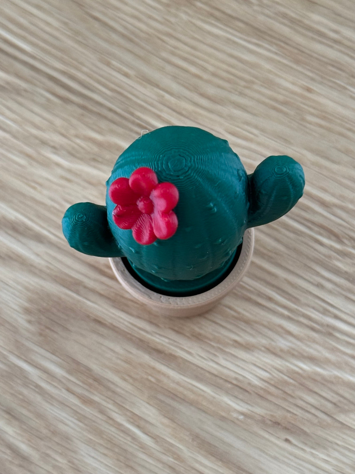 Cactus Fidget Clicker Toy, Desk Fidget Cactus in Pot, Satisfying Click Toy, Handmade USA Stress Relief Gift