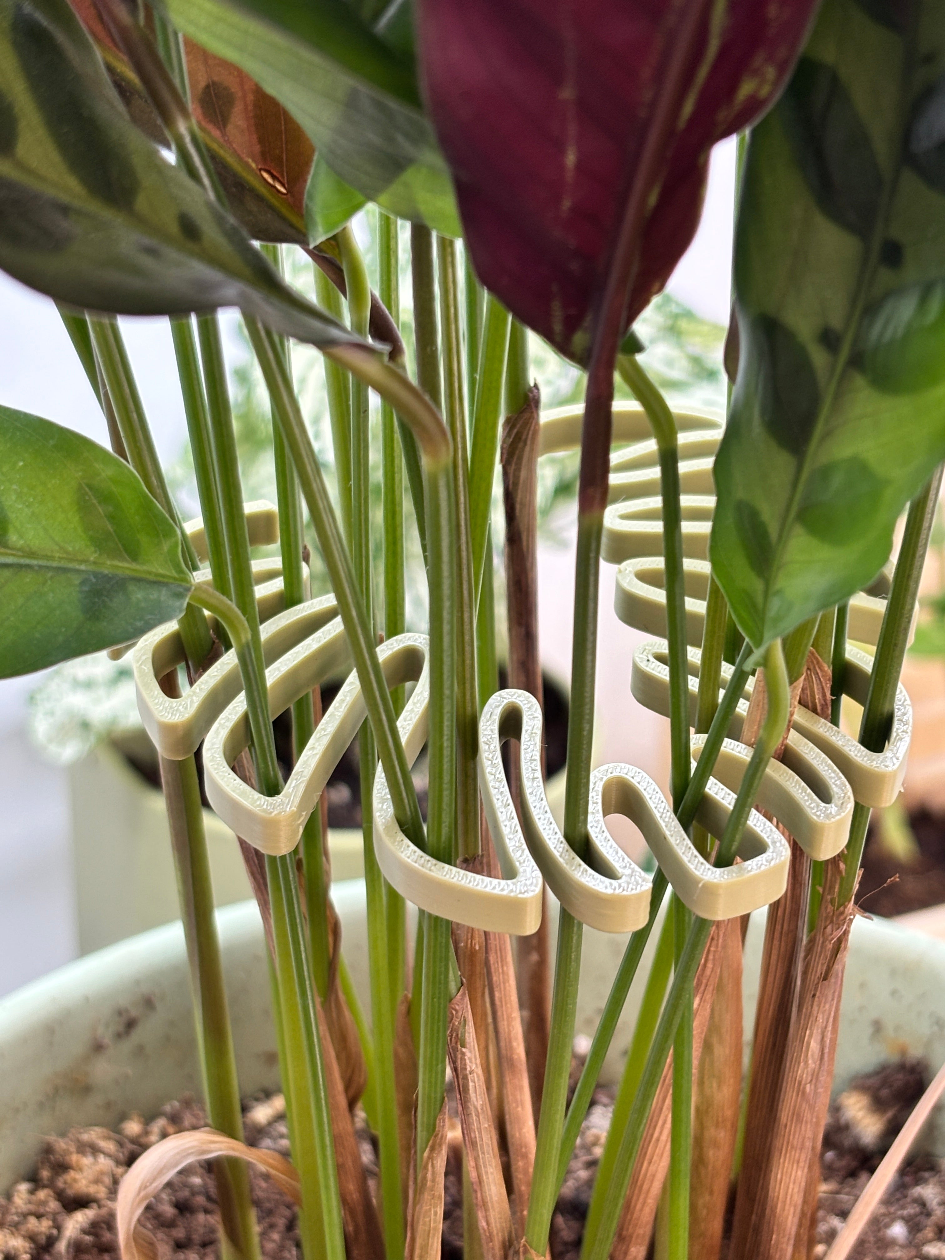 White plant support structure among green leaves