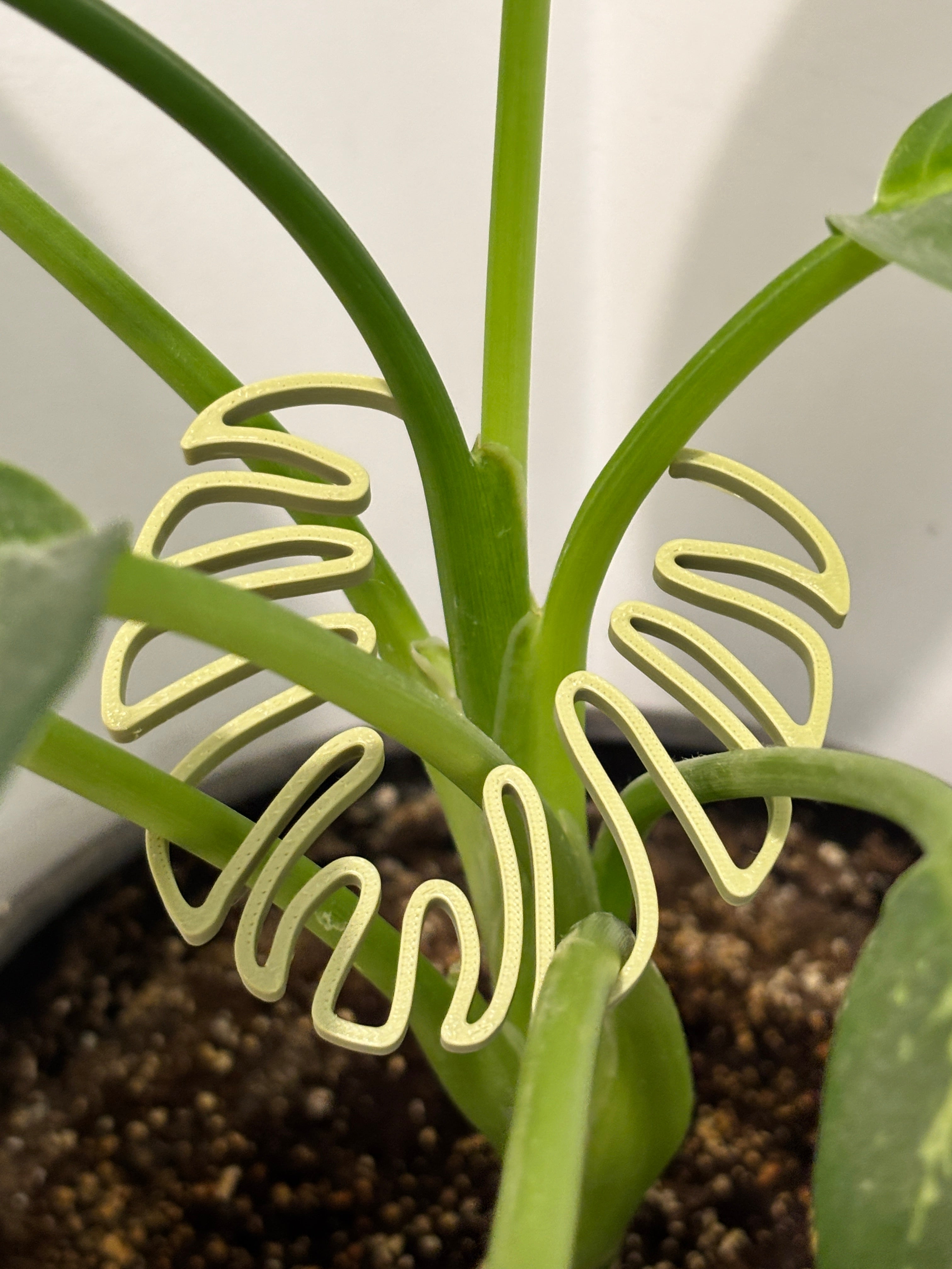 Close-up of a plant with a decorative plastic sculpture shaped like a leaf.