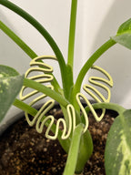 Neon green leaf-shaped paper clip on a plant with a white background
