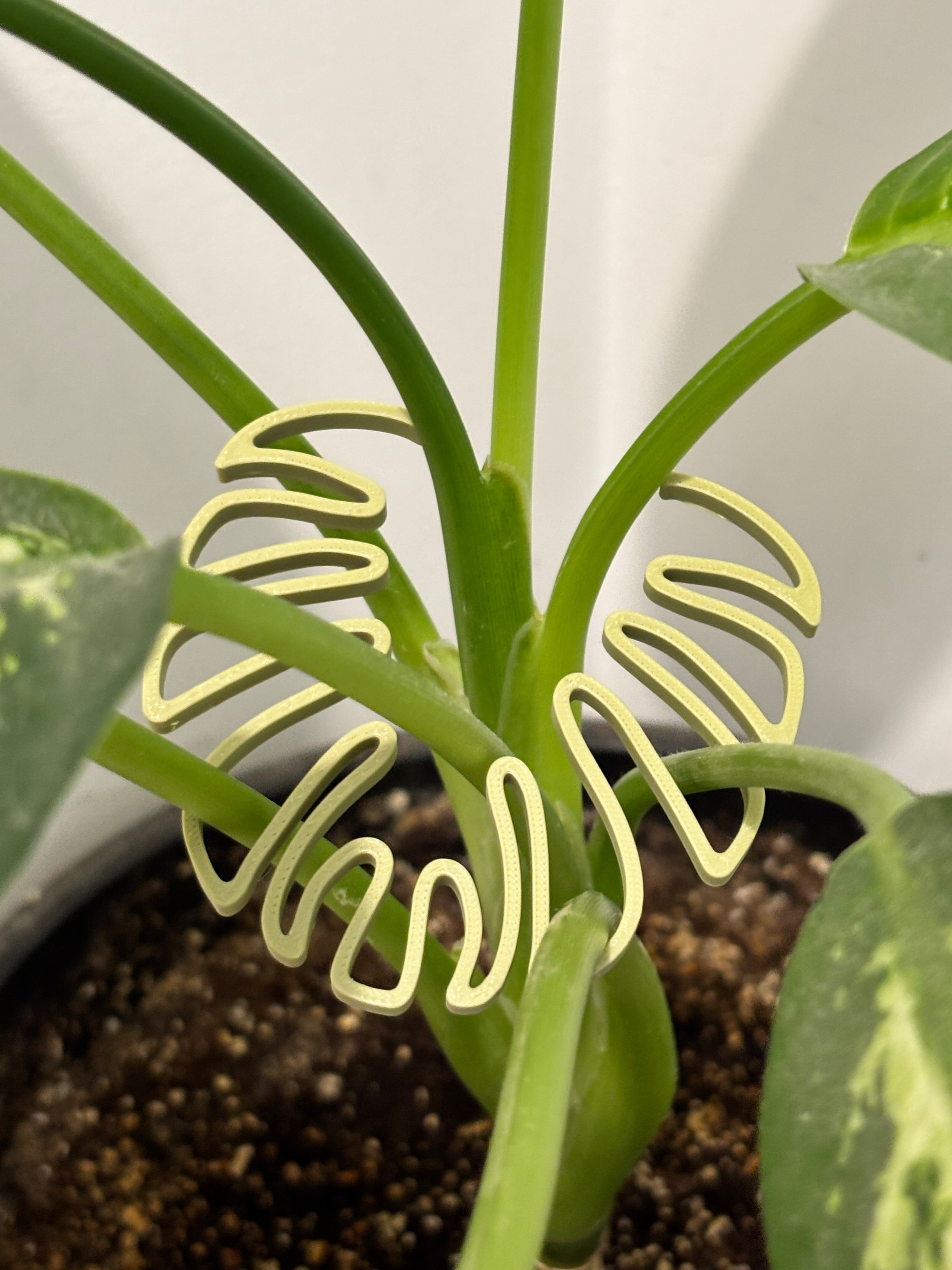 Neon green leaf-shaped paper clip on a plant with a white background