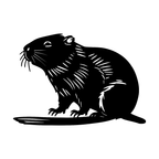 Beaver Wall Art — Detailed Wildlife Silhouette | 2 Sizes