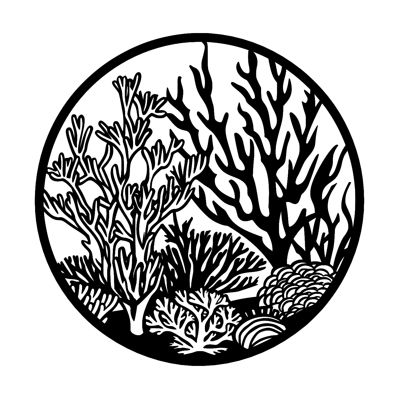 Coral Reef Wall Art — Circle Frame Ocean Scene | 2 Sizes
